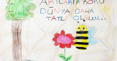 Irmak Hevin Akgeyik